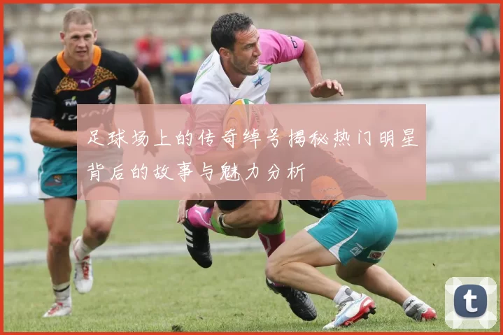 足球场上的传奇绰号揭秘热门明星背后的故事与魅力分析