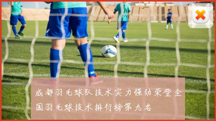 成都羽毛球队技术实力强劲荣登全国羽毛球技术排行榜第九名