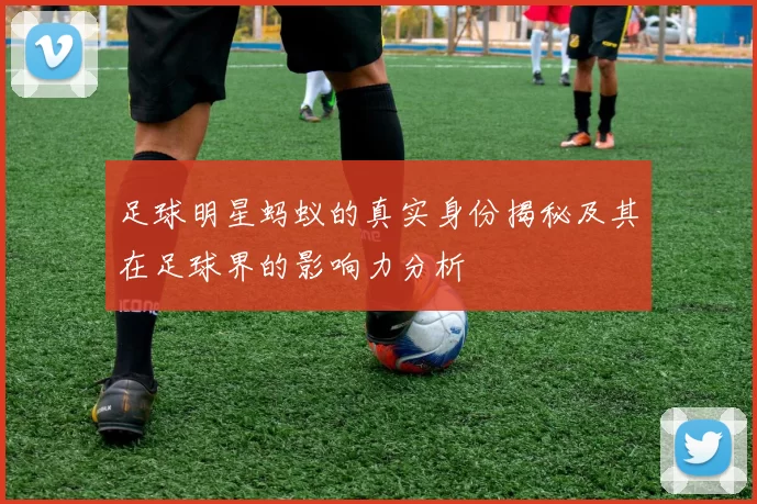 足球明星蚂蚁的真实身份揭秘及其在足球界的影响力分析