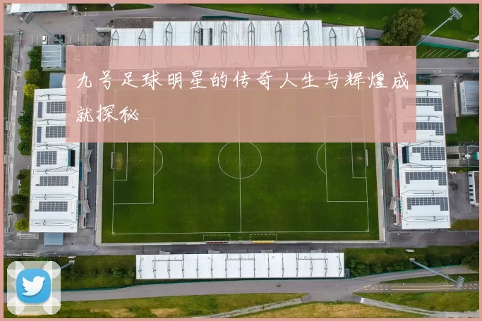 九号足球明星的传奇人生与辉煌成就探秘