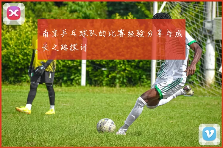 南京乒乓球队的比赛经验分享与成长之路探讨